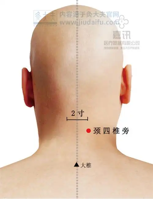 首页 人体穴位【所属经络】      经外奇穴      【国际代码】 【特定