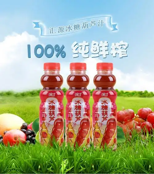 正品汇源冰糖葫芦果汁 山楂汁饮品 饮料 450ml*15瓶 整箱批发