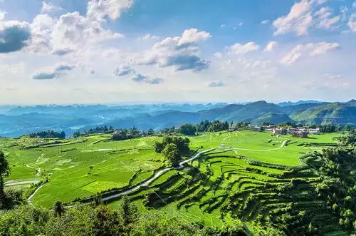 "是体味草原风光的旅游佳境" "风景还不错" 1/ 105 云顶草场 "草