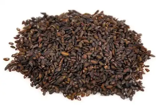 车前子泡水的功效与作用