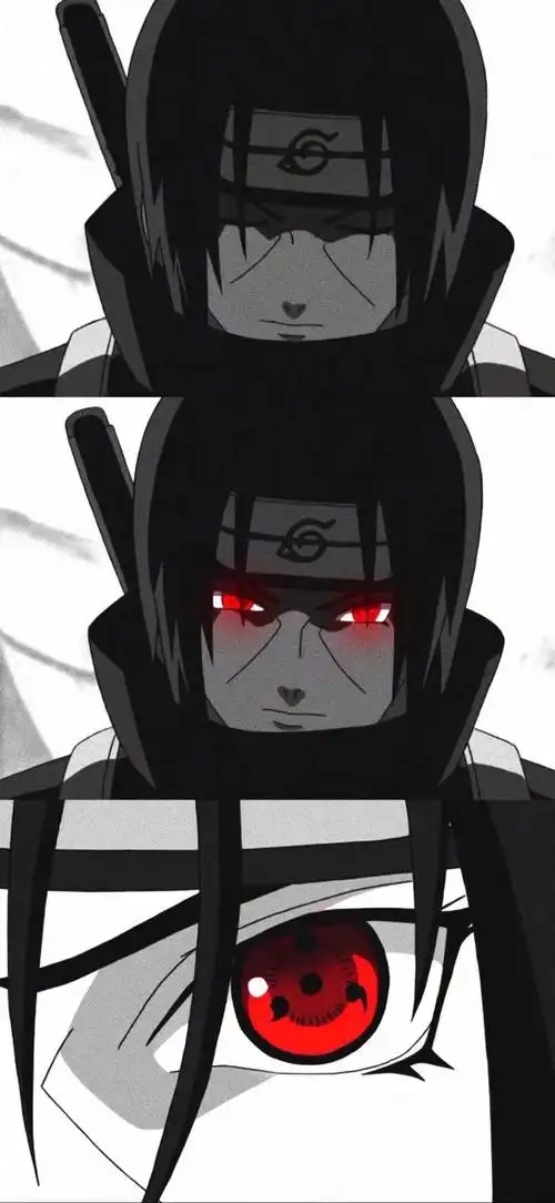 鼬- 堆糖,美图壁纸兴趣社区