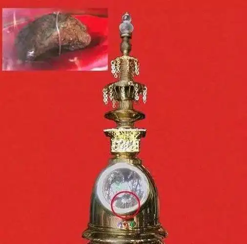 唐三藏也有舍利可惜保存在日本印度