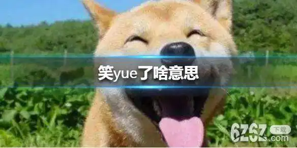 笑yue了啥意思笑yue了意思介绍