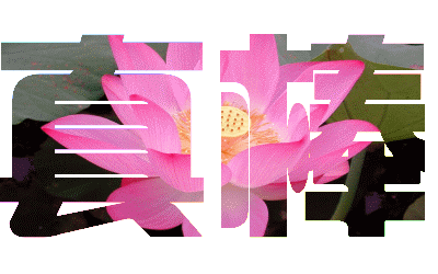 《歌词同步音画》古巷琴音