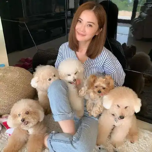 【微信头像】蔡卓妍