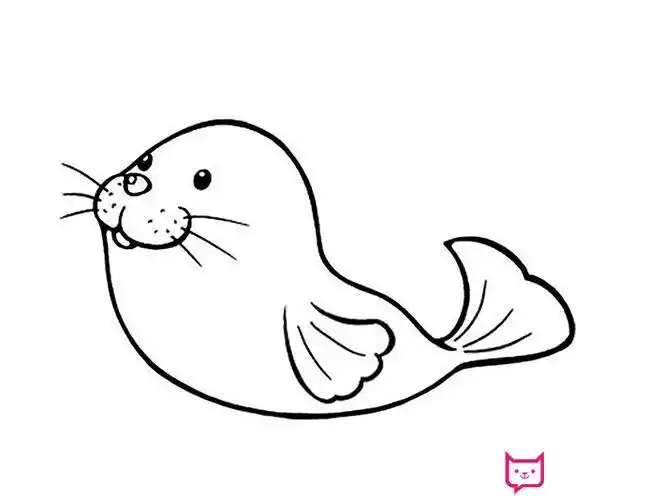可爱的海狮简笔画海狮简笔画图片大全海刺龙的简笔画小海狮简笔画神奇