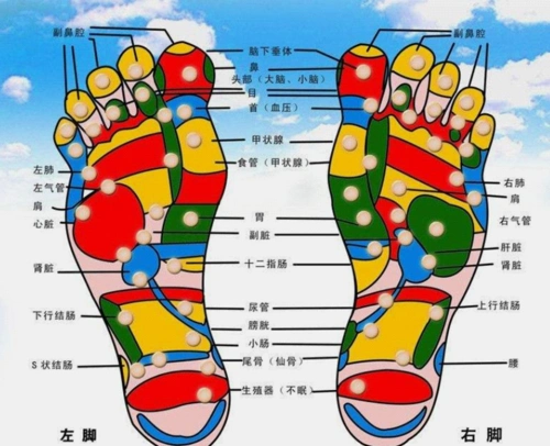 脚底穴道位置图