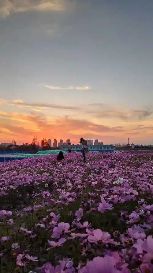 如何在朋友圈发一组赏心悦目的风景照