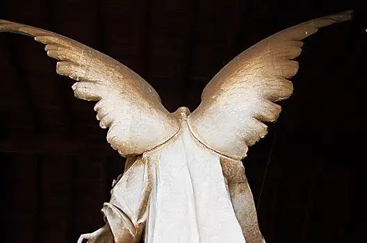 天使,翼,背影
