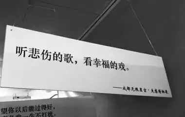 苏小楠/ins风背景图