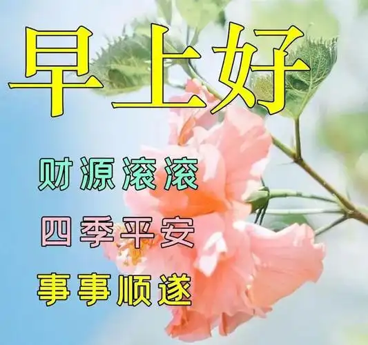 真诚的早晨问好,暖心的祝福语录,高清问候图片,朋友早上好