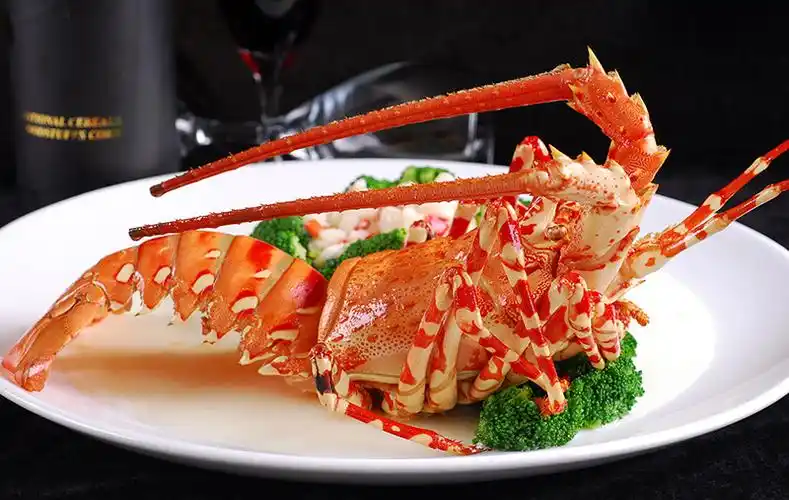 粤菜代表菜——上汤焗澳龙