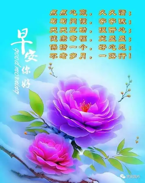 2023年12月17日最新早安唯美问候祝福图片大全|快乐|清晨|早上好_网易