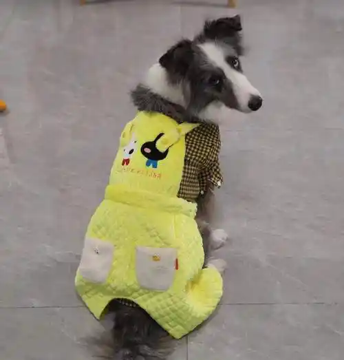 很有腔调百搭小可爱超萌背带裤大码金毛巨贵连体狗宠物服装