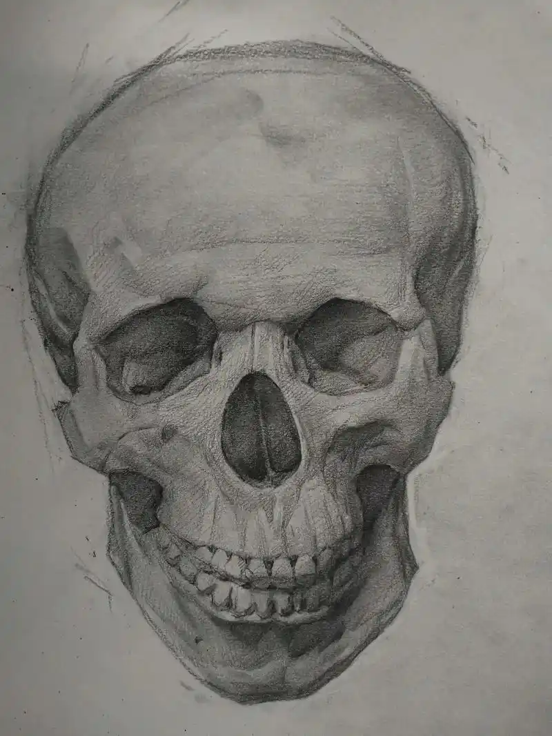 骷髅头练习步骤图#画画 #美术生 #绘画 #素描 #艺考集训 - 抖音