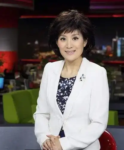 上海东方卫视美女主播何婕