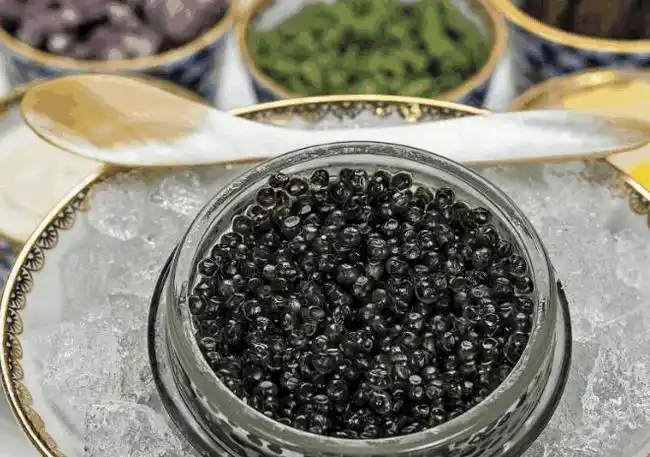 鱼子酱是公认的废青食品,图中这款鱼子酱叫做almas鱼子酱,只要小小的