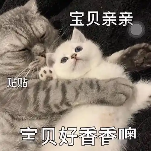 污污,瑟瑟撩人,色色表情包