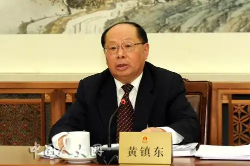 黄镇东委员在第三十一次常委会分组会上发言十一届全