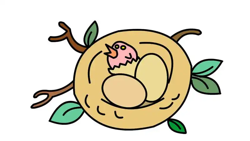 鸟窝怎么画 鸟窝的画法-养娃家