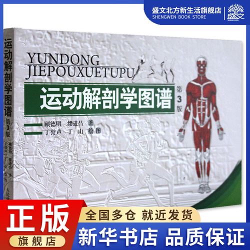 运动解剖学图谱修订第3版 肌肉塑造教程全书 人民体育健身