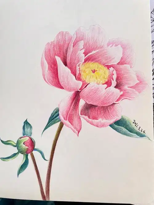 彩铅画  #彩铅  #彩铅手绘  #彩铅临摹  #彩铅入门  #彩铅练习