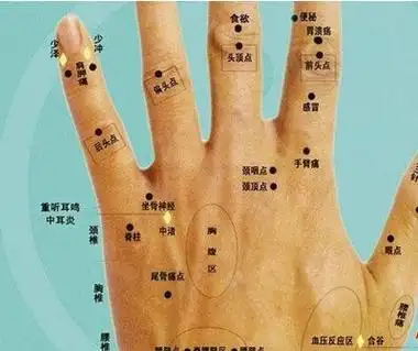 手指上的痣各代表的意思