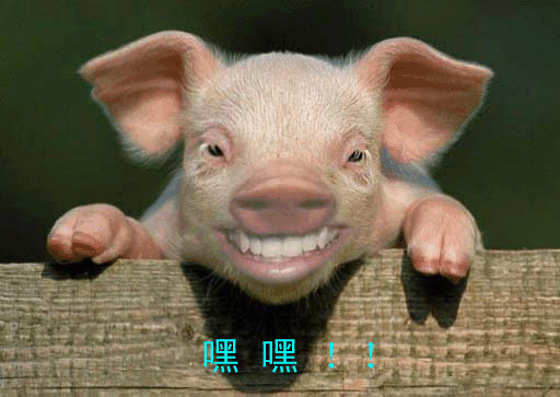 相对性参考系速度一样斗图搞笑可爱gif动图_动态图_表情包下载_soogif