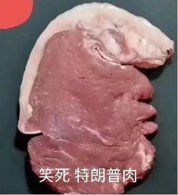 笑死企鹅肉高清图片最新
