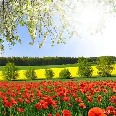 给自己带好运风景头像