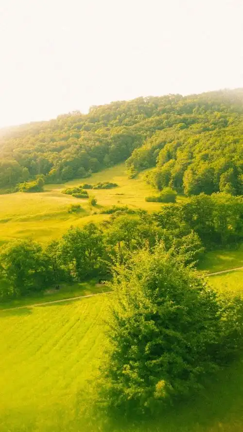 清新,人的,自然风光, 标签:唯美风景唯美美景美景图片自然景色小清新