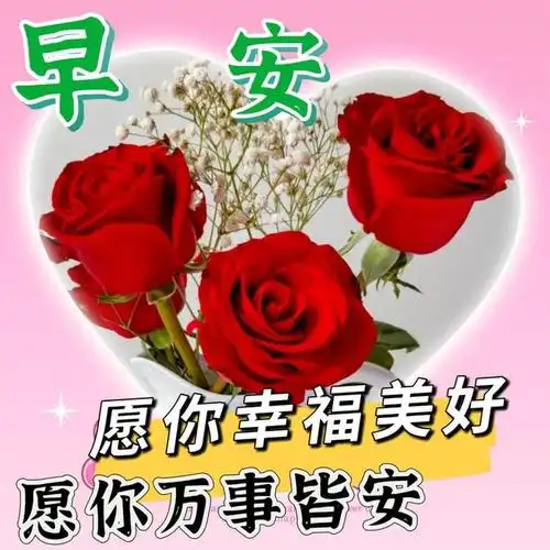 早上好动态表情包图片早安暖心问候语温馨祝福语