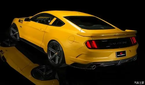 saleenmustang赛麟野马高清图车未到图解馋