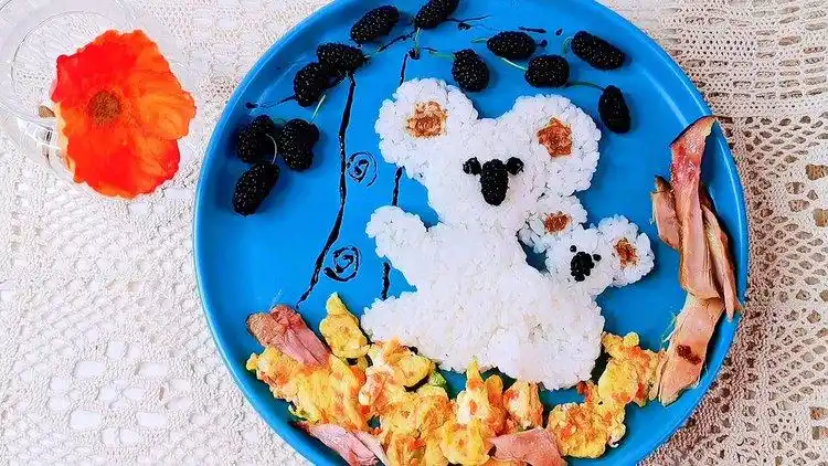 考拉妈妈和考拉妈妈米饭拼盘!