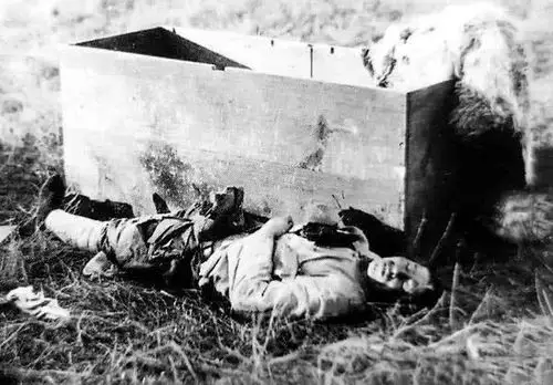 罕见抗战时期照片骑着驴子爬台阶美国镜头下的中国敢死队士兵