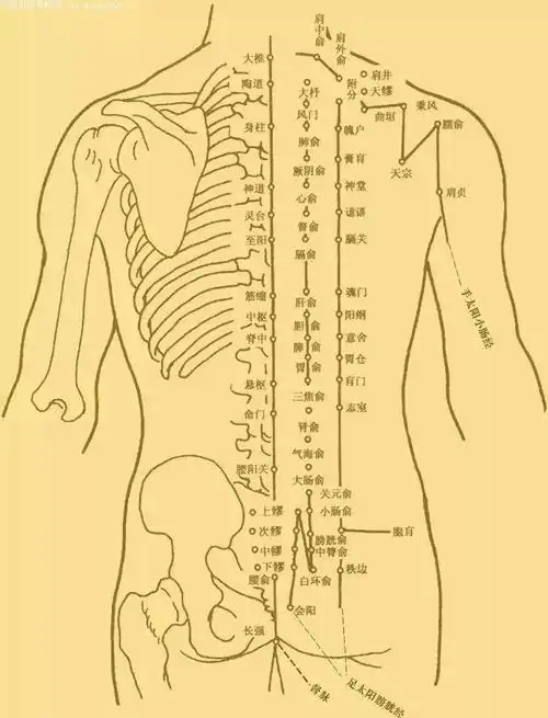【养生】 难怪很多人都会坚持做背,原来做背好处这么多!| 手把手
