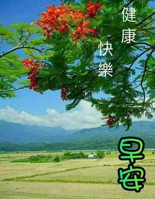 早上好图片大全表情包