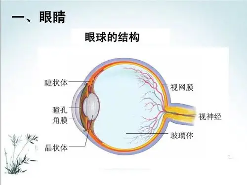 城南幼儿园亲子互动平台:感官游乐园——《爱惜我们的眼睛》(四十三)