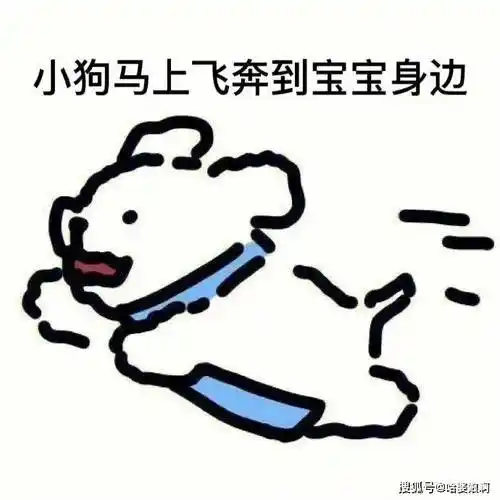 你忙吧363436373039小狗文字学表情包 676767_-end