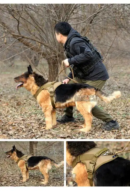 z522 迷彩战术狗衣 尼龙防泼水宠物用品犬背心牵引胸背带脖套衣服