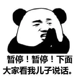 暂停暂停下面大家看我儿子说话.表情