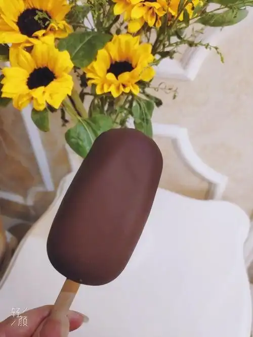 家有灵宝做的梦龙巧克力雪糕