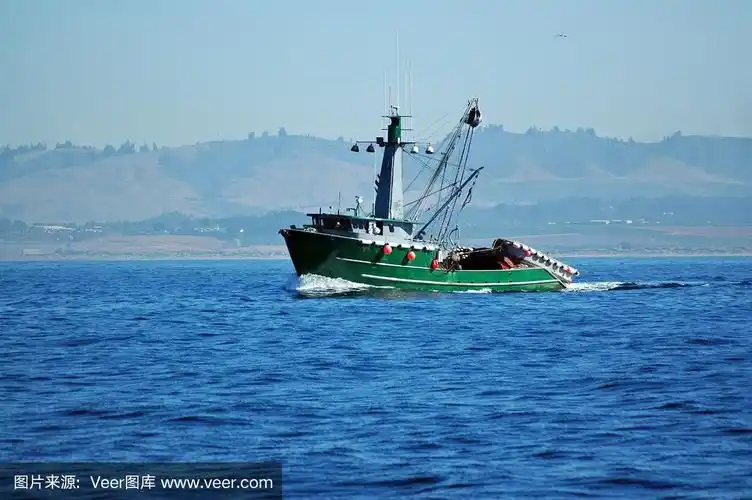 加利福尼亚蒙特利湾使用围网的渔船