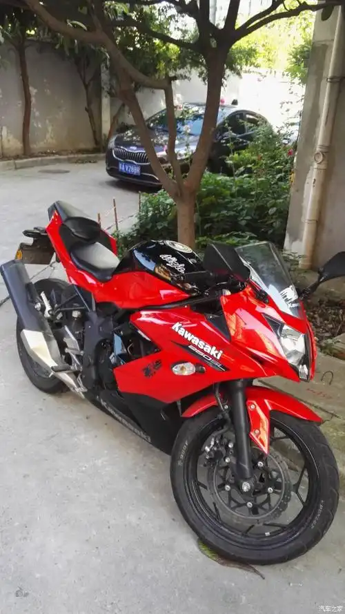 再不疯狂我们就老了-提川崎红色小忍者250sl