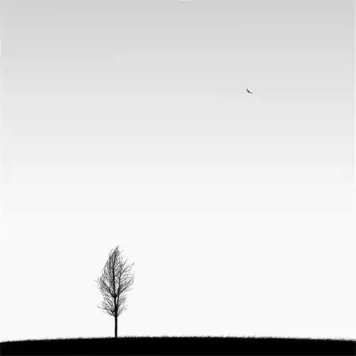 白色简洁风头像