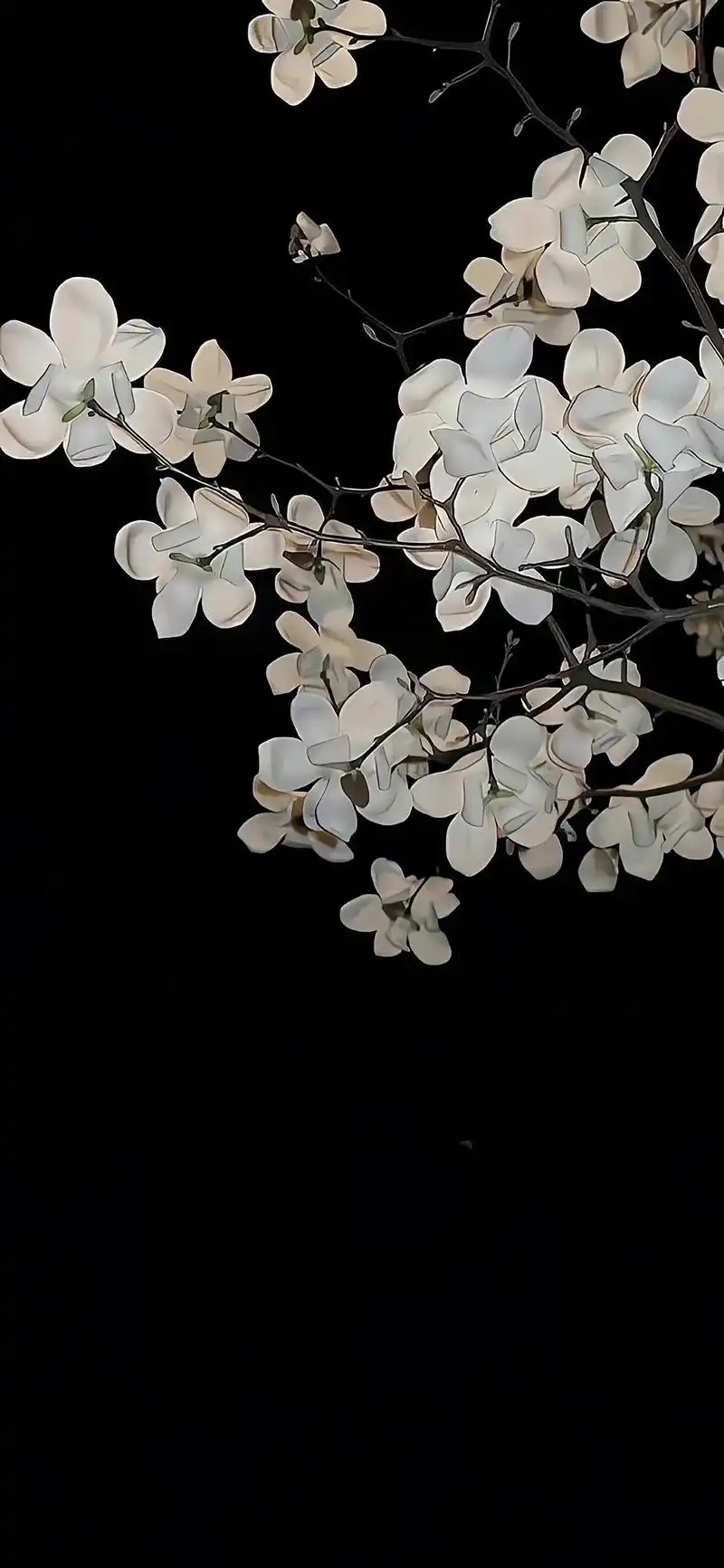 1320_2860竖版 竖屏