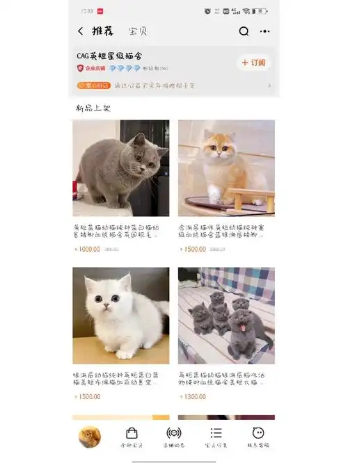 推荐淘宝上的良黑心猫舍