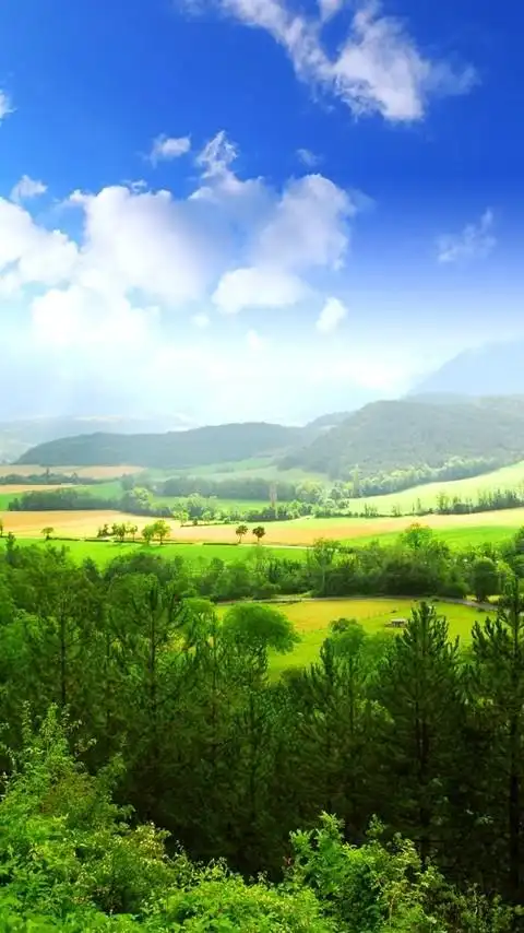 唯美,原生态,清新,手机壁纸小米1/1s清新风景手机桌面背景