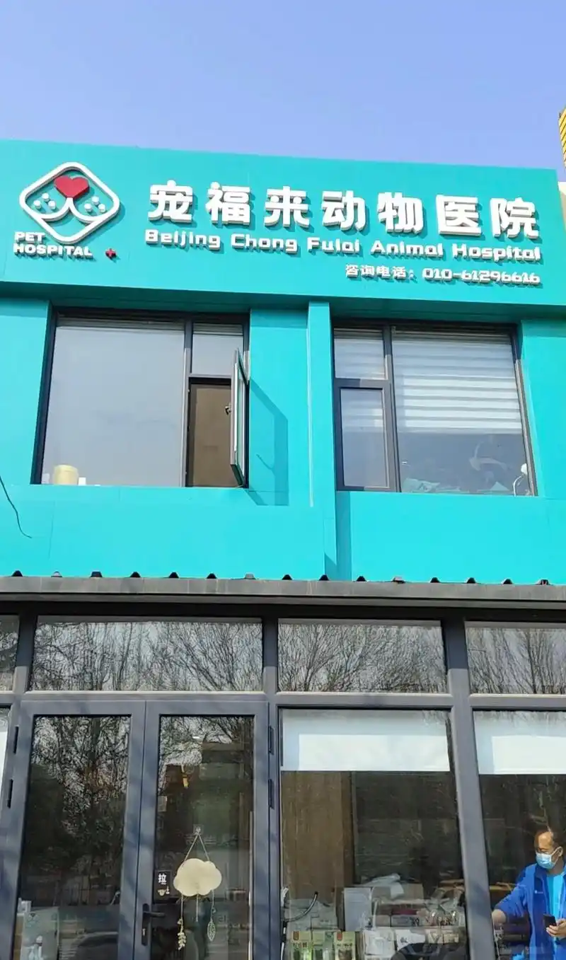 原来宠物也能针灸啊!#宠福来动物医院  宠物针灸的功效,如: - 抖音