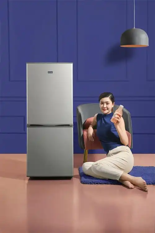 安徽省扬子智能电器有限公司车用风冷无霜小冰箱迷你冰箱三门小型家用